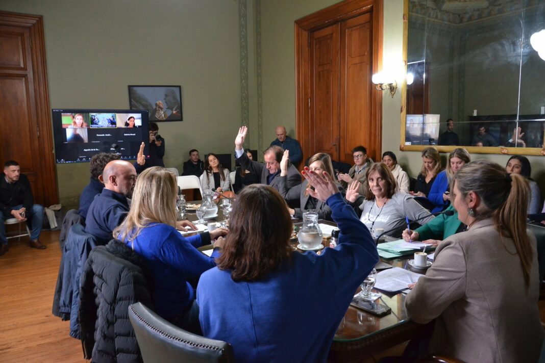 La comisión de Reforma Política y Régimen Electoral del Senado bonaerense comenzó con la hoja de ruta de los proyectos de ficha limpia y de reemplazos por género.