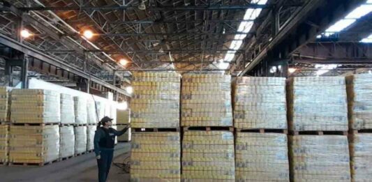 La Justicia ratificó la cautelar de Casanello para que Capital Humano distribuya los alimentos