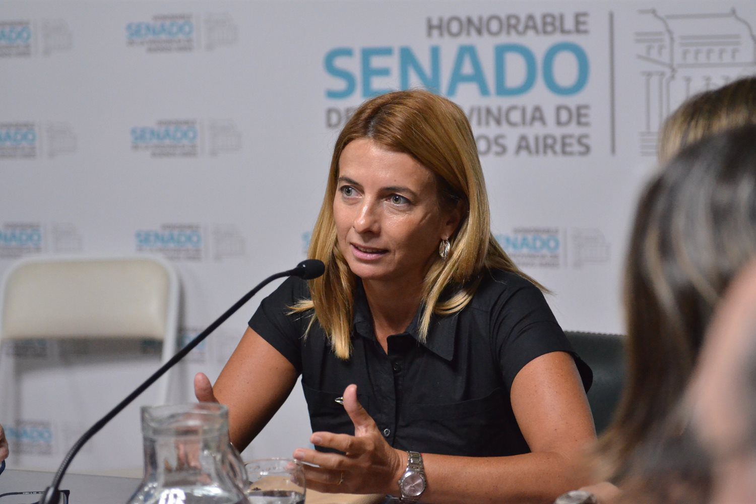 Senado bonaerense: la legisladora del PRO, María Subiza, es titular de la comisión de Asuntos Municipales.