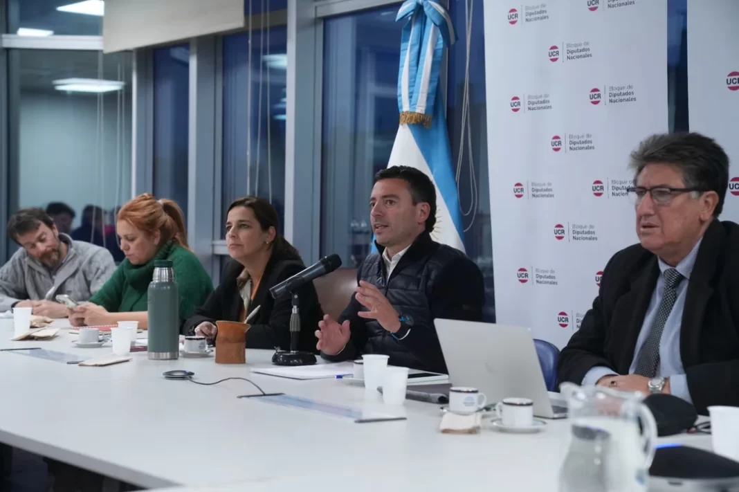El bloque de diputados de la UCR reclamó que el Congreso trate de manera “urgente” los decretos de Milei sobre la SIDE.