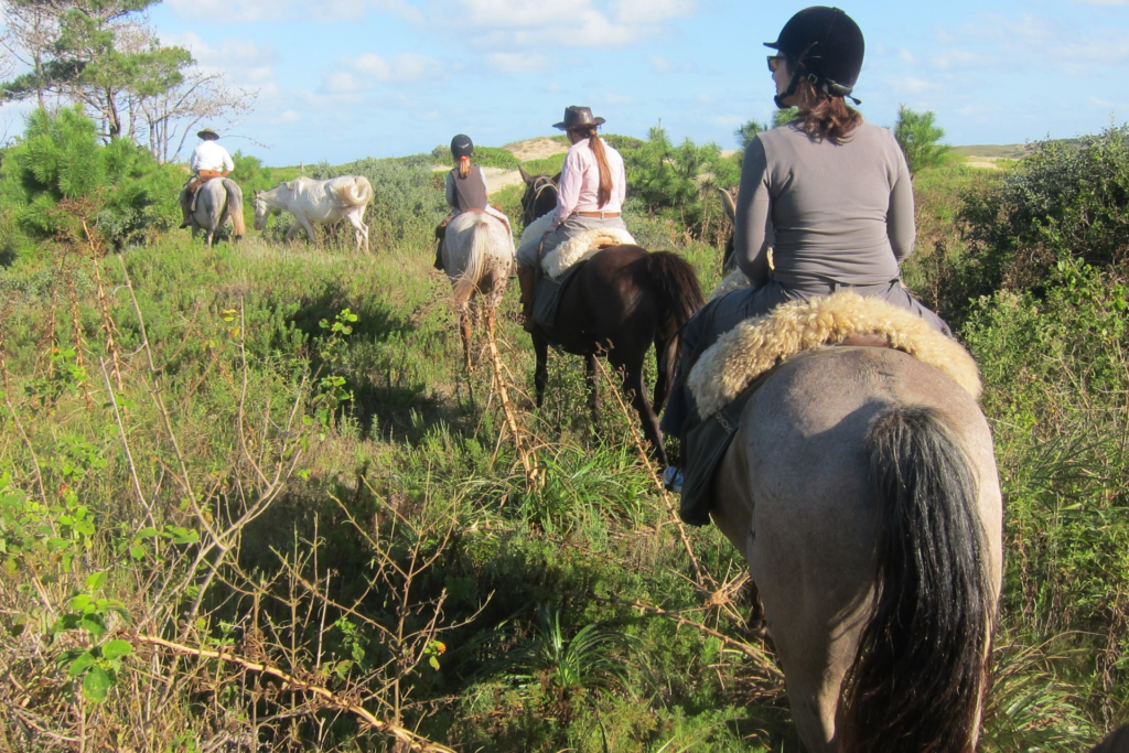 Presentan un proyecto de ley para promover el turismo rural en la provincia de Buenos Aires.