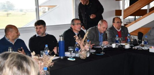 Suescun reelecciones indefinidas