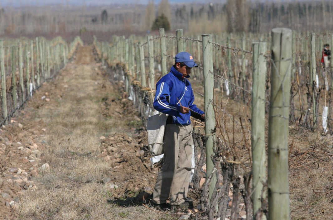 La diputada bonaerense del bloque UCR + Cambio Federal, Anahí Silvina, busca ampliar beneficios a productores de localidades que se encuentren bajo emergencia agropecuaria.