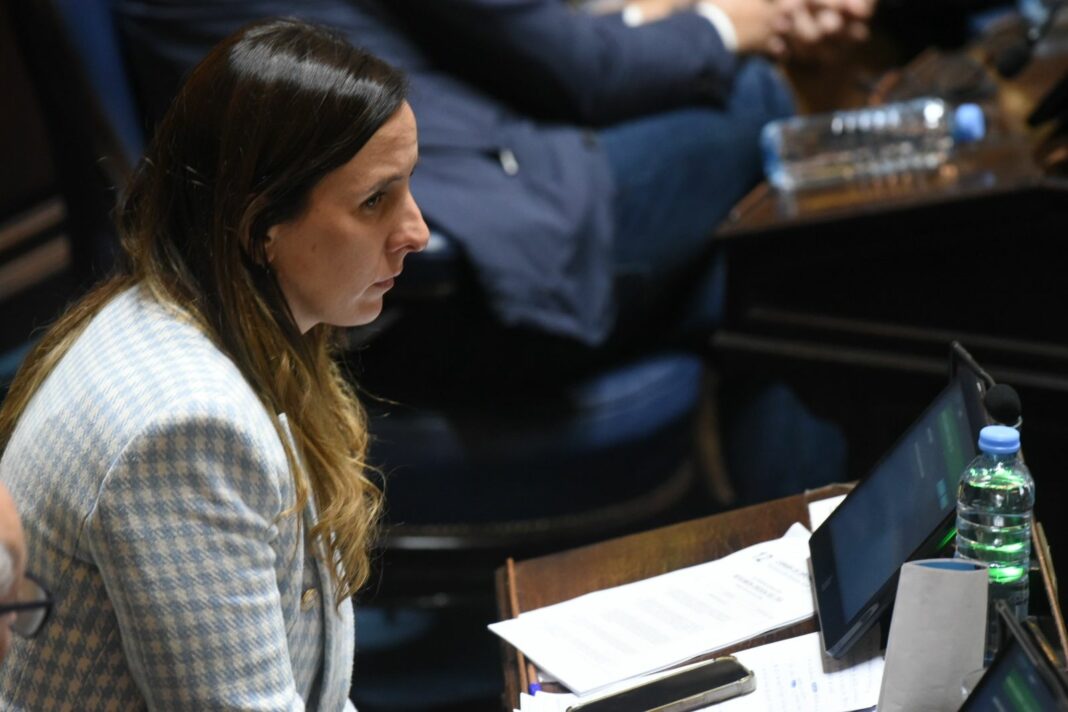La diputada peronista Lucía Iañez apuntó contra el presidente Javier Milei por el cierre de los centros de acceso a la Justicia, y celebró el avance de uno de sus proyectos.