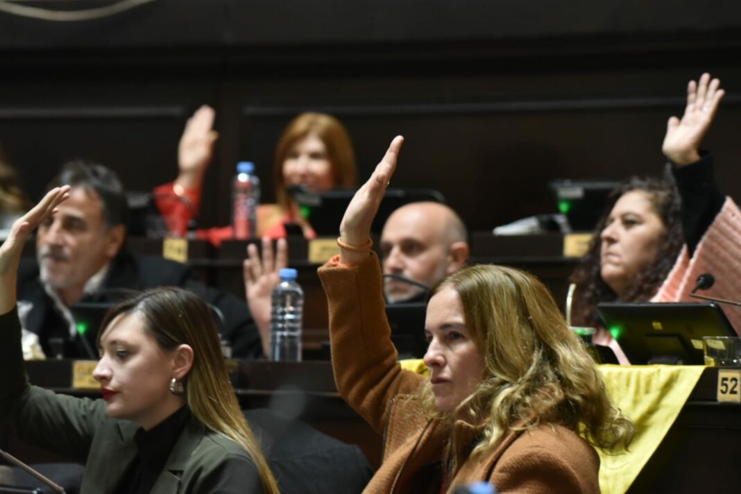 La Cámara de Diputados bonaerense sancionó la ley de Endometriosis, que garantiza el acceso a una atención integral de las mujeres con la enfermedad.