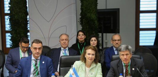 La canciller, Diana Mondino cuestionó en la Cumbre del Mercosur el “estancamiento” comercial del bloque y pidió la apertura a otros mercados.