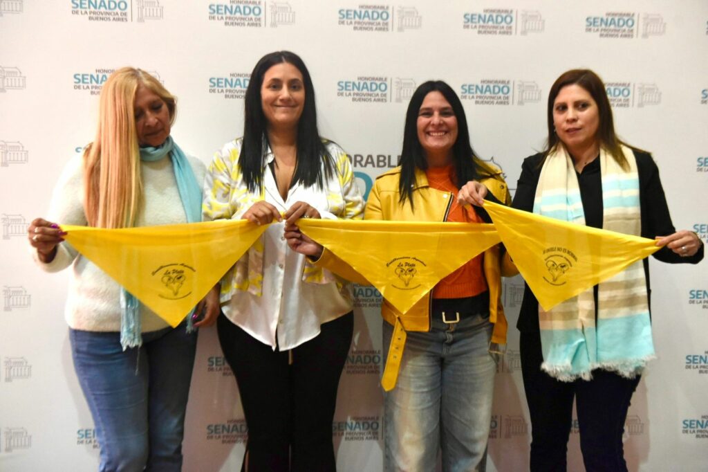 La agrupación Endohermanas Argentina celebró la media sanción del Senado bonaerense en la Ley de Endometriosis.