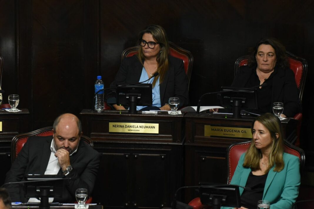 Licencias coparentales senado bonaerense
