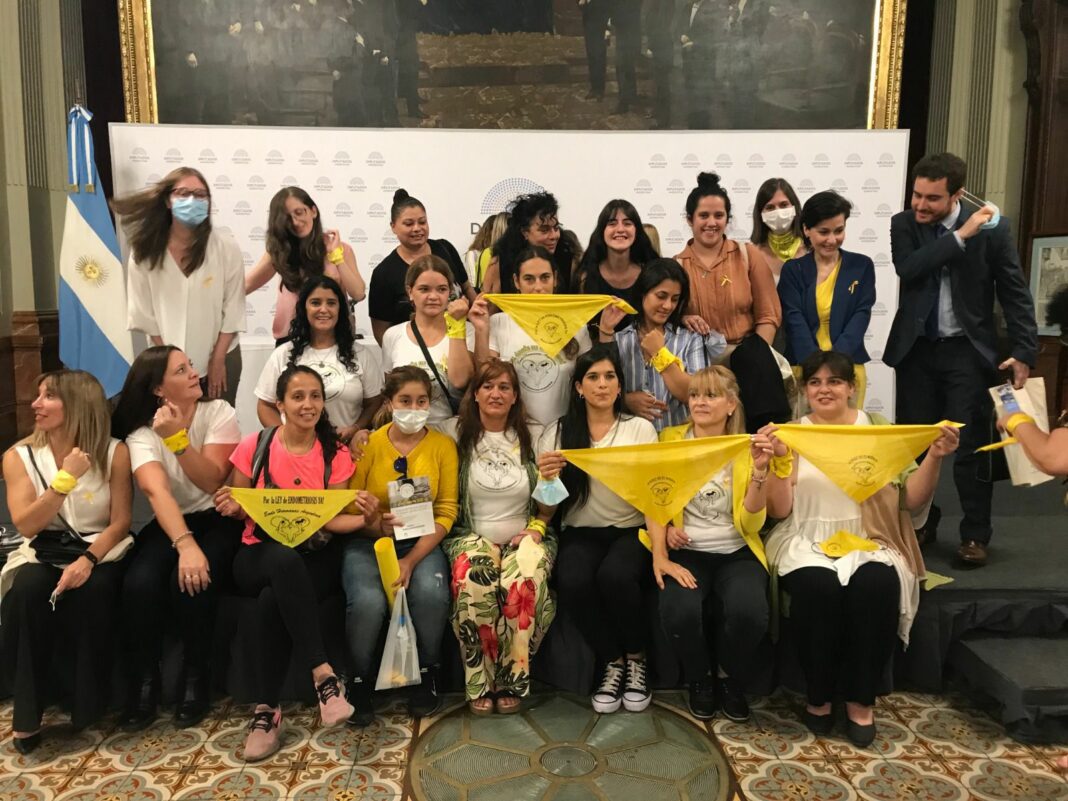 Este miércoles, el Senado bonaerense tratará el proyecto de ley para incluir la endometriosis al Programa Médico Obligatorio.