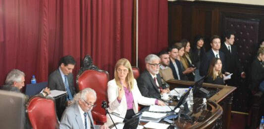 El Senado bonaerense vuelve a sesionar el próximo miércoles a las 15 horas, sin proyectos de peso en el temario. Se trataría la iniciativa de cuota alimentaria de Axel Kicillof.