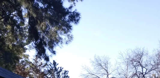 La oposición encarnada en Juntos La Plata cargó en duros términos contra la gestión del intendente Julio Alak por el accidente de la República de los Niños.
