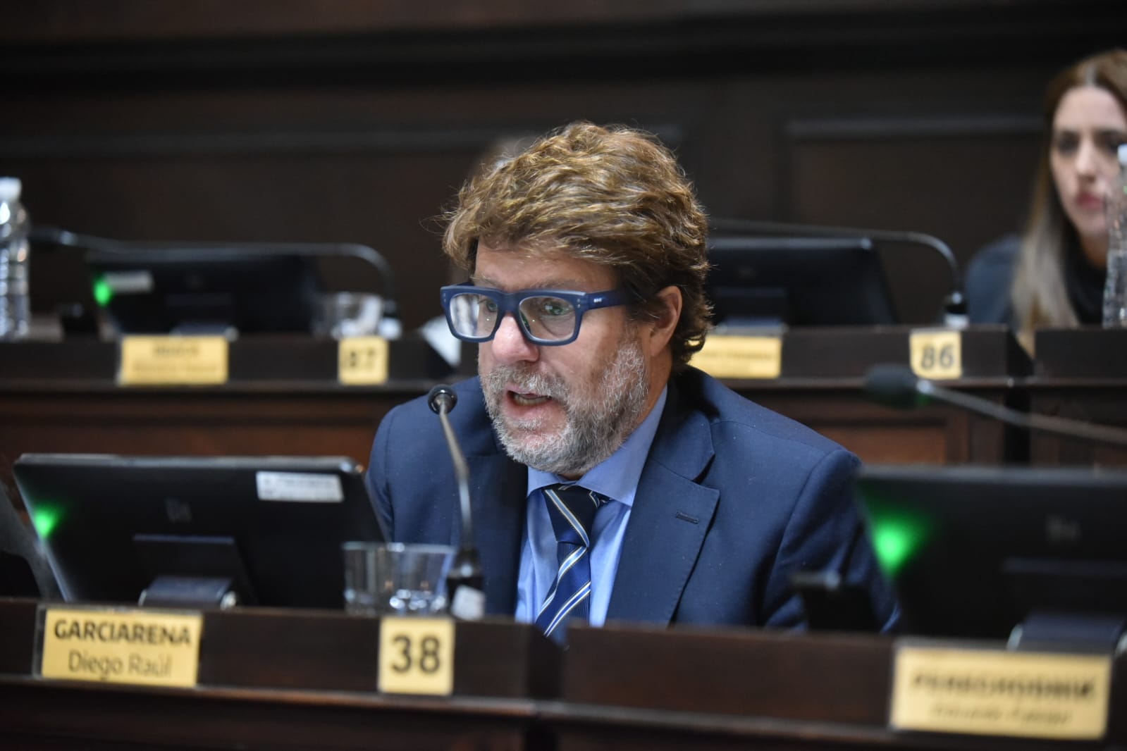 El presidente de la bancada de diputados UCR+Cambio Federal, Diego Garciarena.