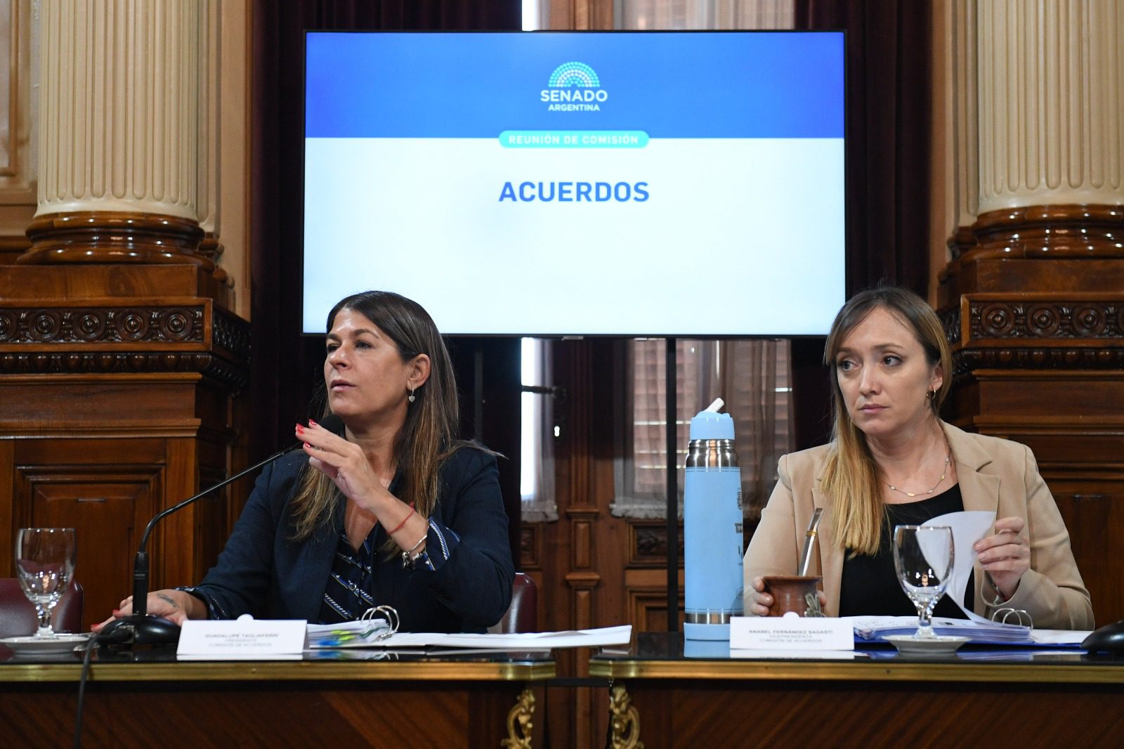 El catedrático, Manuel García Mansilla defiende su pliego en el Senado para integrar la Corte Suprema de Justicia.
