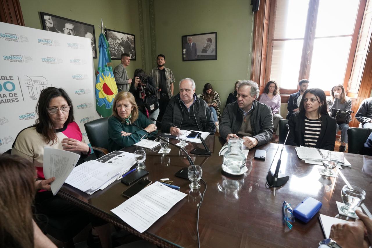 La titular del IPS, Marina Moretti, durante su presentación en la comisión de Trabajo del Senado bonaerense.