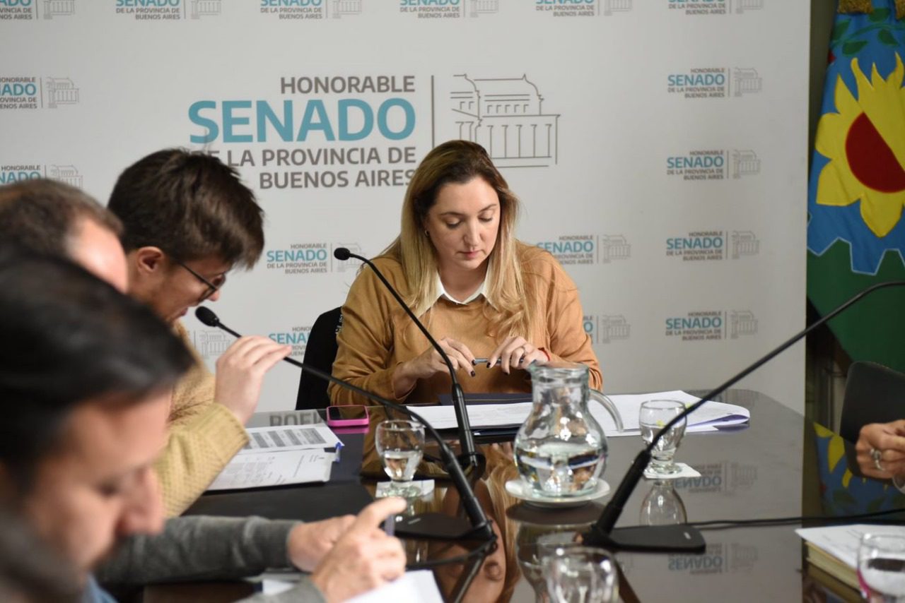 La senadora bonaerense del PRO, Aldana Ahumada, presentó un pedido de informes por la deserción escolar en la provincia de Buenos Aires.