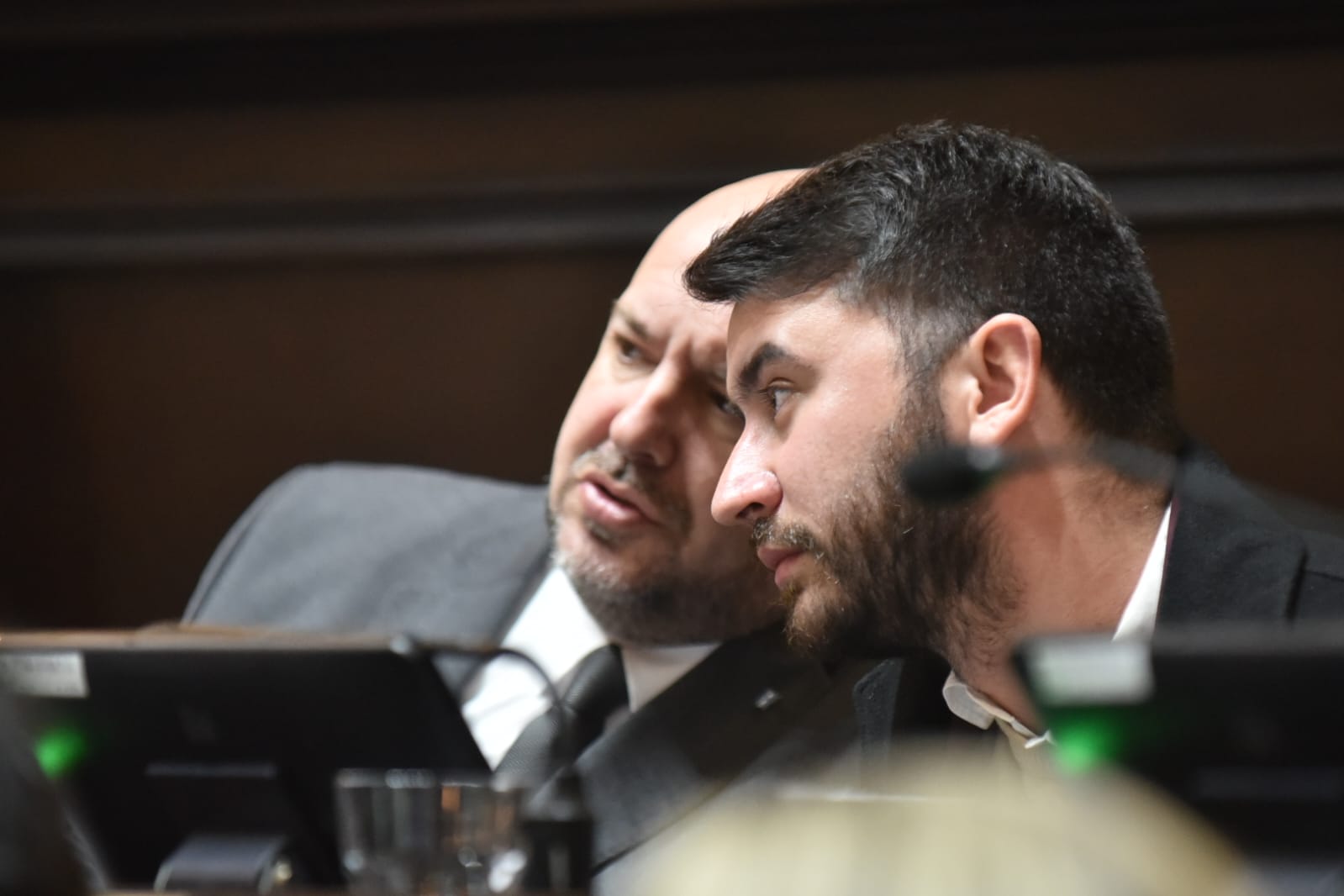 Nahuel Sotelo y Alejandro Carrancio, las dos cabecillas del bloque de La Libertad Avanza en Diputados, estarían próximos a abandonar la Legislatura.