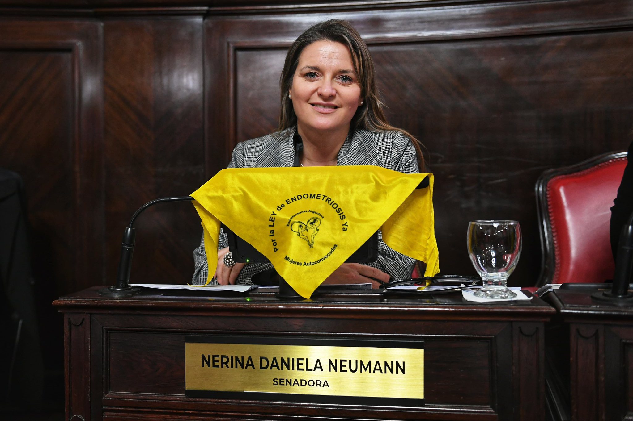 La senadora bonaerense de la UCR, Nerina Neumann, en el recinto de la Cámara alta. 