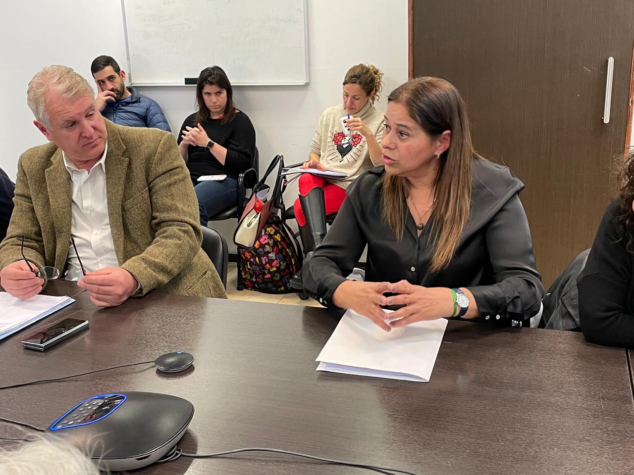 La referenta de los odontólogos bonaerenses, Rosana Asensio, es observada atentamente por el diputado Ricardo Lissalde.