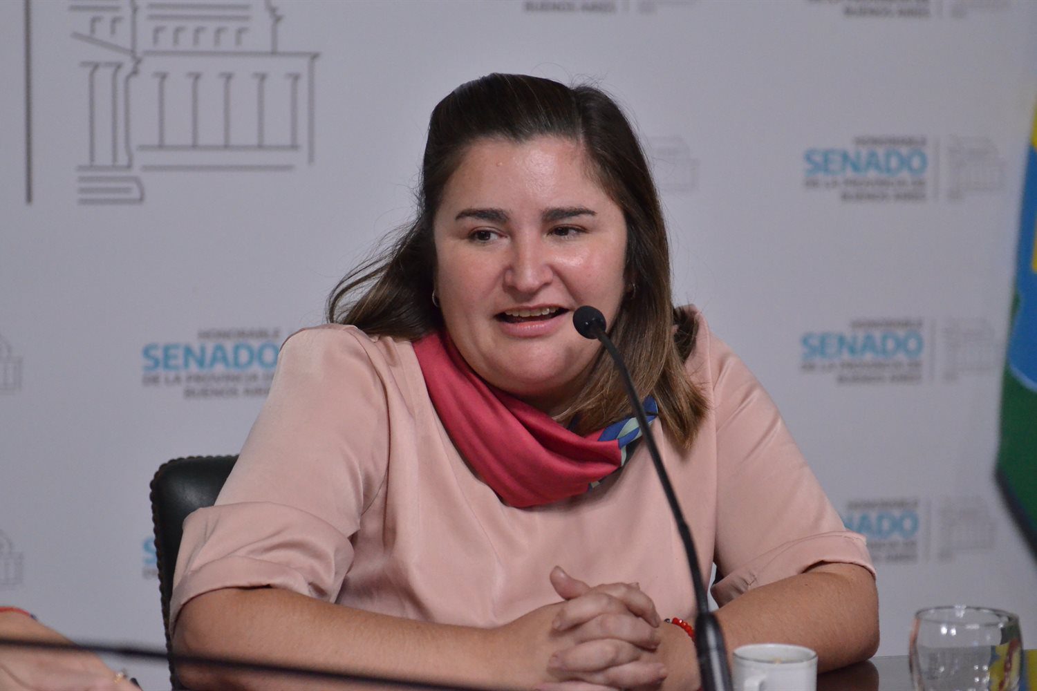 La senadora Ayelén Durán es la autora del proyecto para blindar el Archivo Provincial de la Memoria.