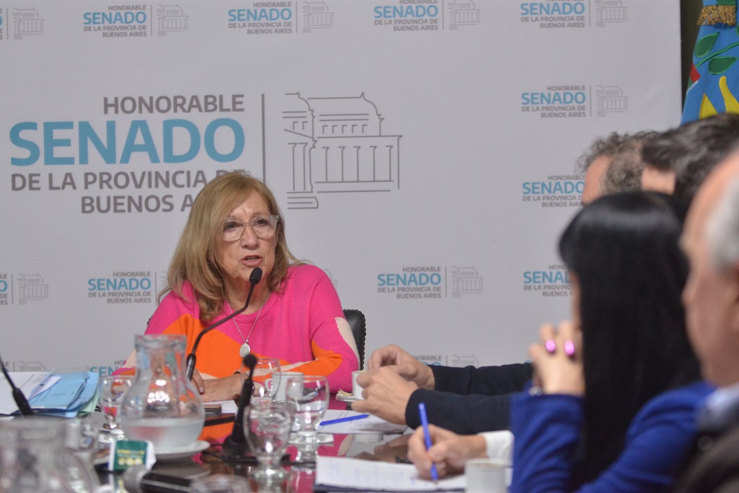La comisión de Trabajo del Senado bonaerense emitió dictamen de mayoría al proyecto de indemnizaciones laborales de La Cámpora. Fuerte rechazo opositor.