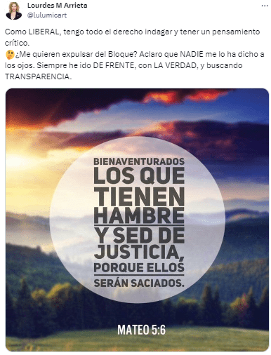 Lourdes Arrieta se descargó en redes sociales tras conocer que podría ser expulsada del bloque de La Libertad Avanza en Diputados.