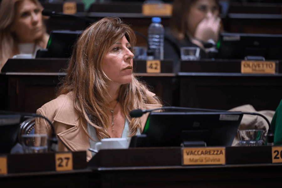 La diputada bonaerense, Silvina Vaccarezza le exigió al Ejecutivo de Axel Kicillof que una respuesta a la necesidad de tener un RIGI bonaerense.
