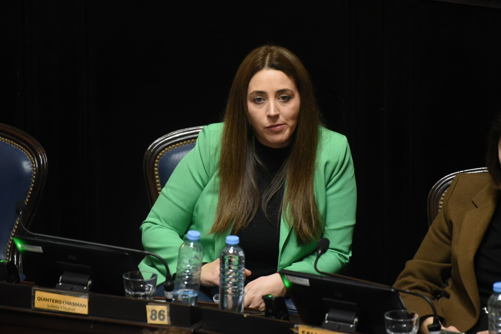 Diputados: la legisladora Julieta Quintero Chasman denunció "hipocresía" por parte del oficialismo en relación al caso de Alberto Fernández.