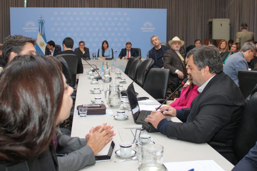 Diputados avanza en la creación Fondo Federal de Compensaciones para los Sistemas de Transporte Públicos de Pasajeros Urbanos y Suburbanos.