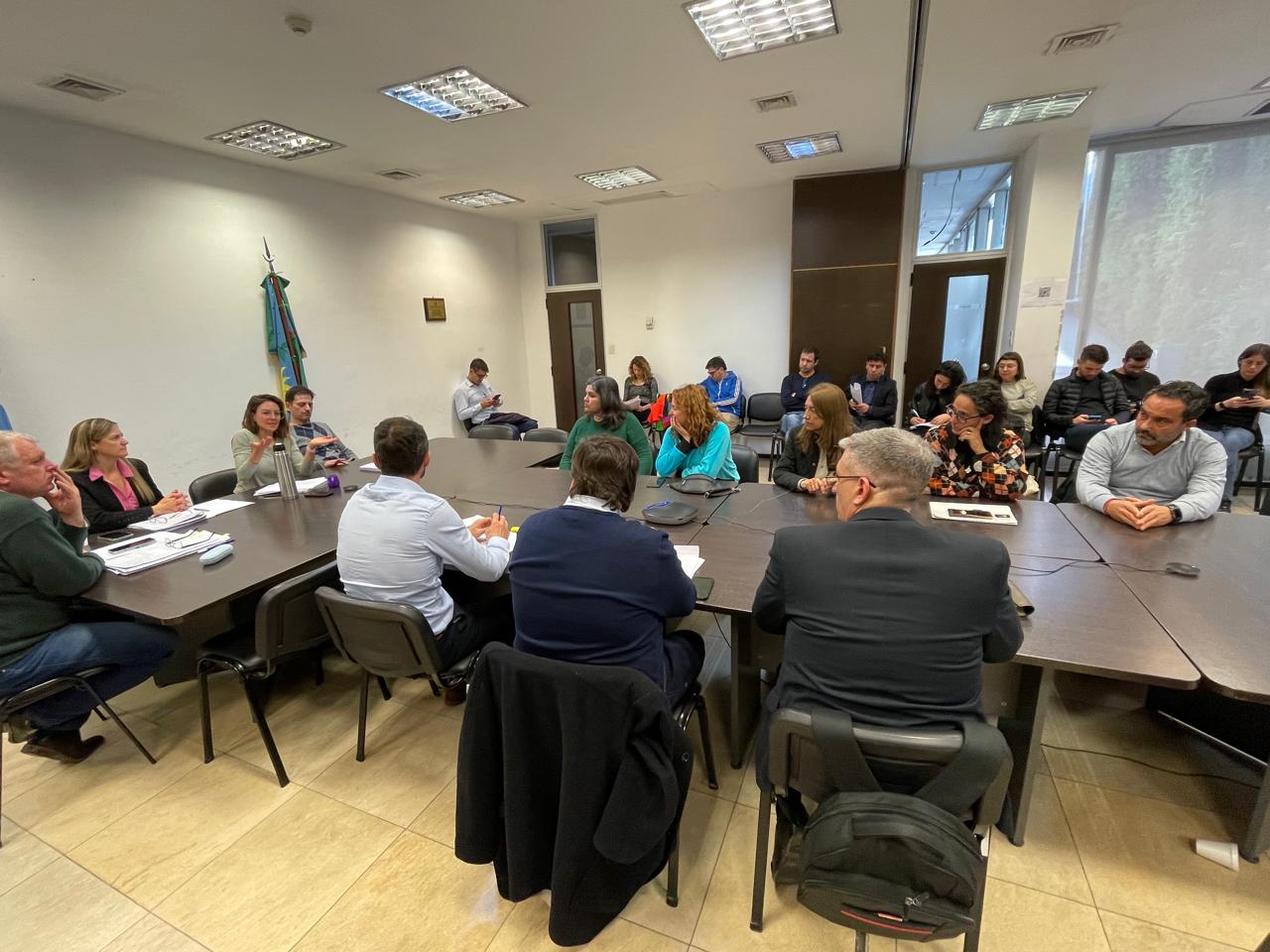 Profesionales de fonoaudiología expusieron en la comisión sobre la necesidad de jerarquizar a la profesión.