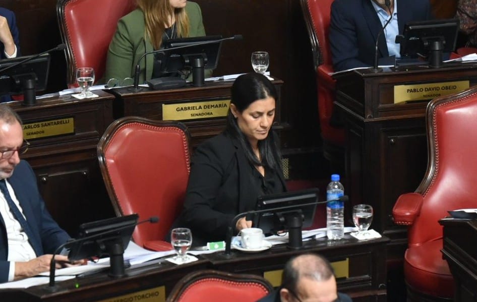 Cuota alimentaria: el proyecto de Vannelli fue unificado con una iniciativa del Gobierno de Kicillof.