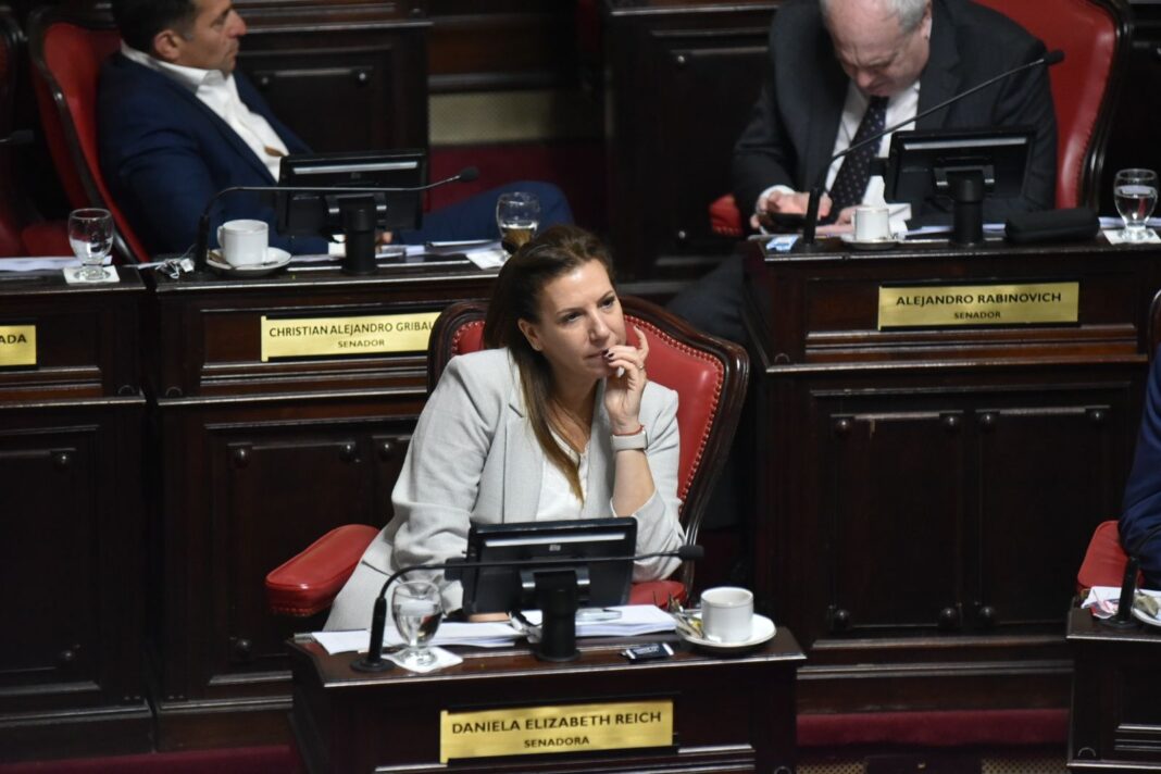 La senadora del PRO Libertad, Daniela Reich, presentó un proyecto para derogar la ley que obliga a los funcionarios bonaerenses a viajar por Aerolíneas Argentinas.