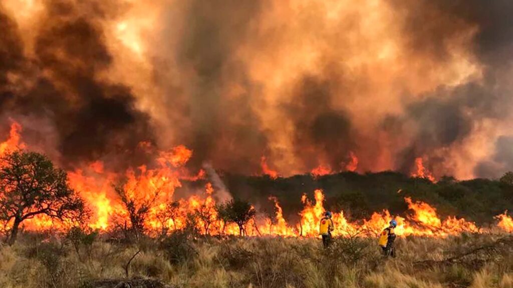 La ministra de Ambiente bonaerense, Daniela Vilar, cuestionó al Gobierno nacional por los incendios en Córdoba y criticó fuertemente las políticas de Javier Milei para combatir la crisis climática.