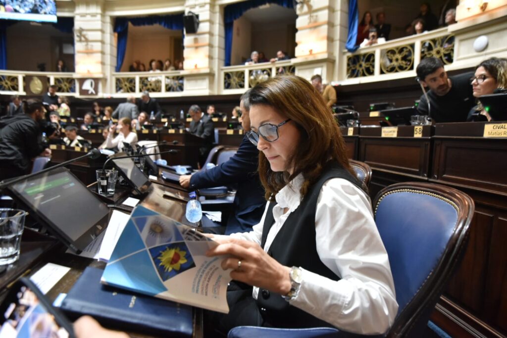 Reforma constitucional: la diputada del bloque Acuerdo Cívico UCR-GEN, Viviana Dirolli, afirmó que la autonomía municipal es una deuda de la Carta Magna.