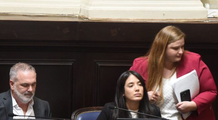 La diputada Jazmín Carrizo presentó un pedido de informes para que Axel Kicillof brinde datos sobre el aumento del delitos.