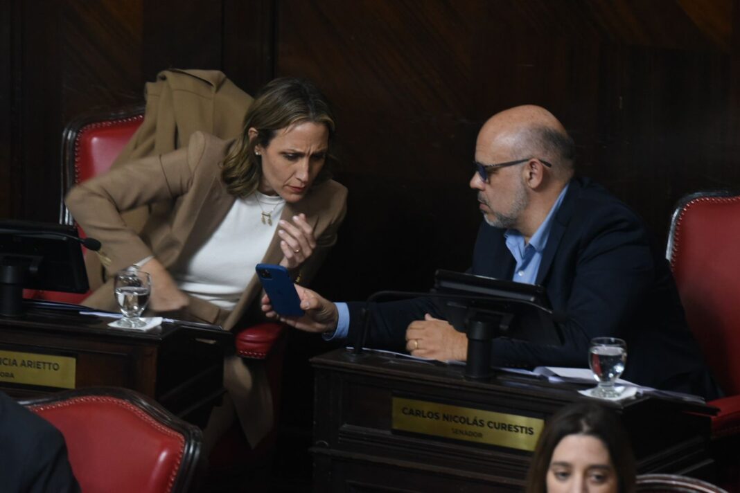 Legisladores libertarios salieron a cuestionar la marcha educativa y lka búsqueda de rédito político del kirchnerismo.