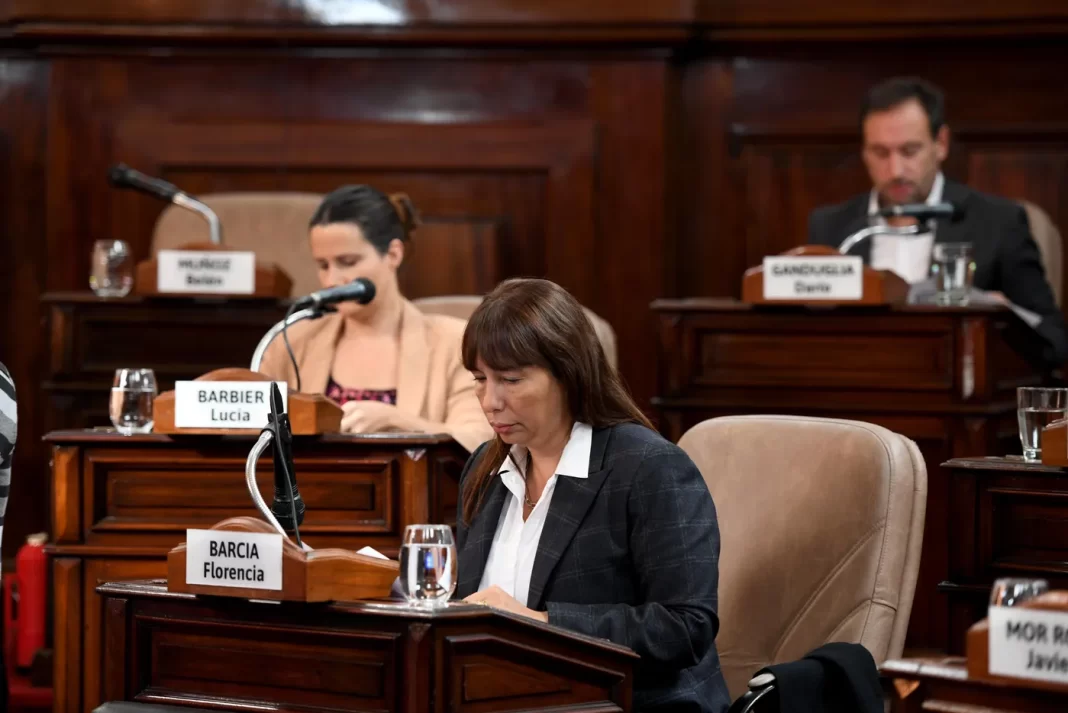 La concejal del PRO de La Plata, la exsenadora bonaerense Florencia Barcia, fue asaltada por dos motochorros.