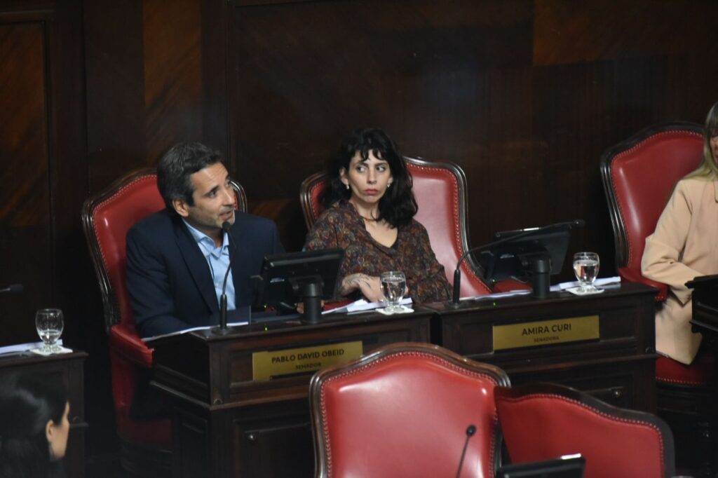 Unión por la Patria y La Libertad Avanza abrieron un nuevo debate en la Legislatura bonaerense por el proyecto que habilita a los menores de edad a invertir.