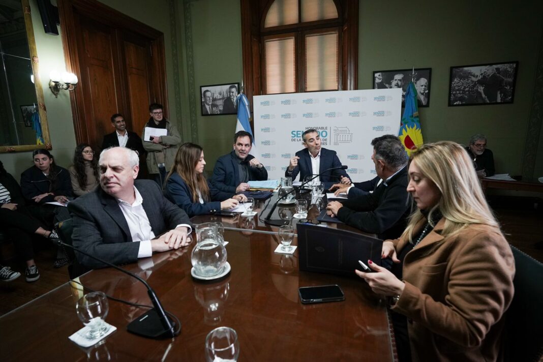 La comisión de Presupuesto e Impuestos del Senado bonaerense tratará este miércoles a las 11 el proyecto de empresa estatal de emergencia en salud de Axel Kicillof y Nicolás Kreplak.