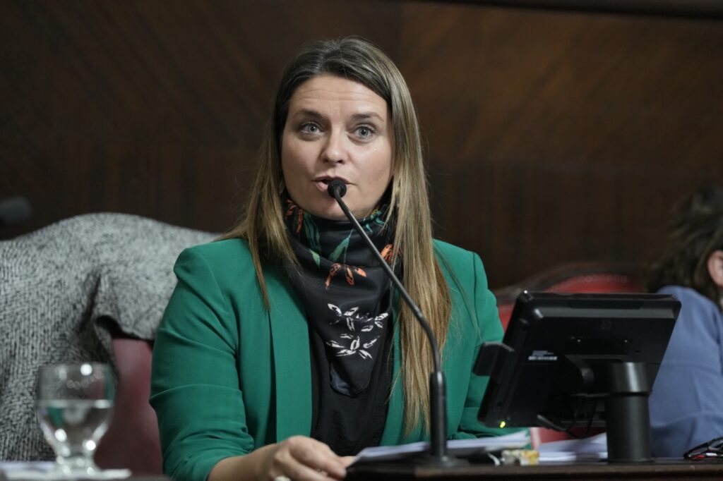 Nerina Neumann manifestó su preocupación por la paralización total de la obra en la Ruta 60. 