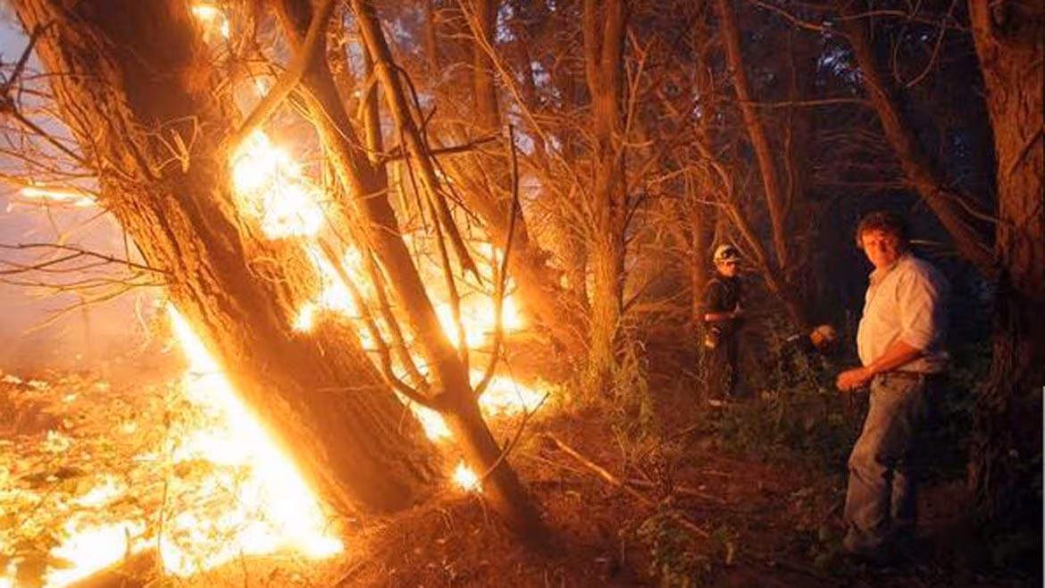La denuncia de Montenegro se agravó por el incendio desatado en Sierra de los Padres que requería intervención del "bloqueado" EMSUR. 