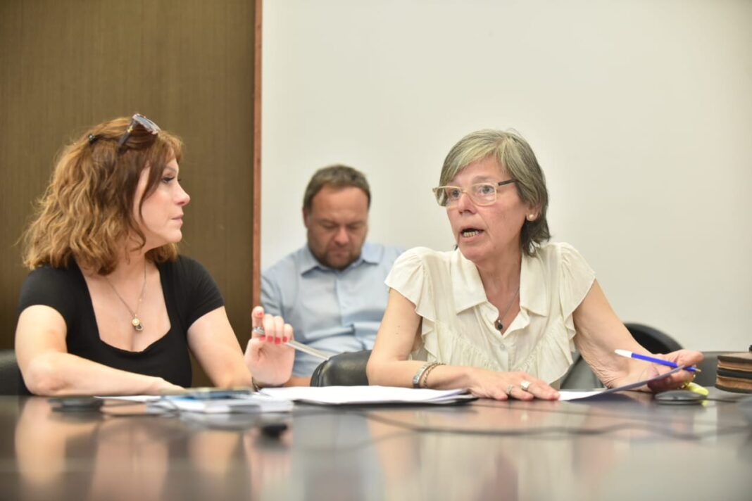 La diputada bonaerense del bloque Unión por la Patria, Soledad Alonso, repudió en la comisión de Trabajo los 230 despidos de la planta nuclear CAREM.