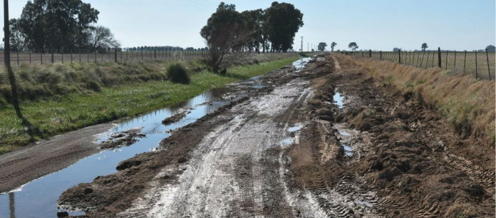 La diputada Vaccarezza manifestó la importancia de la mejora de los caminos rurales para fortalecer el sector productivo.