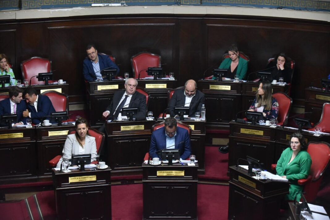 Luego del encuentro con FEMEBA, el bloque UCR + Cambio Federal reiteró su preocupación por el conflicto con el IOMA.