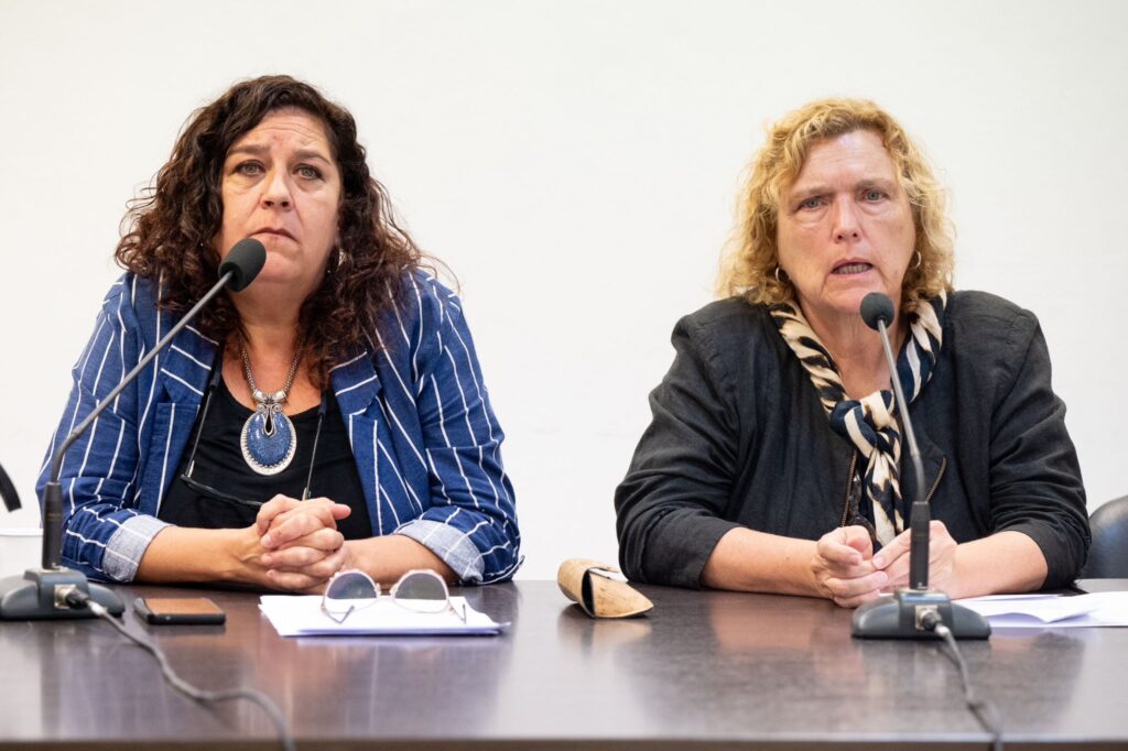 Las legisladoras Susana González y Anahí Bilbao impulsaron un cupo laboral para jóvenes de hogares de abrigo, que esta tarde recibió media sanción de Diputados.