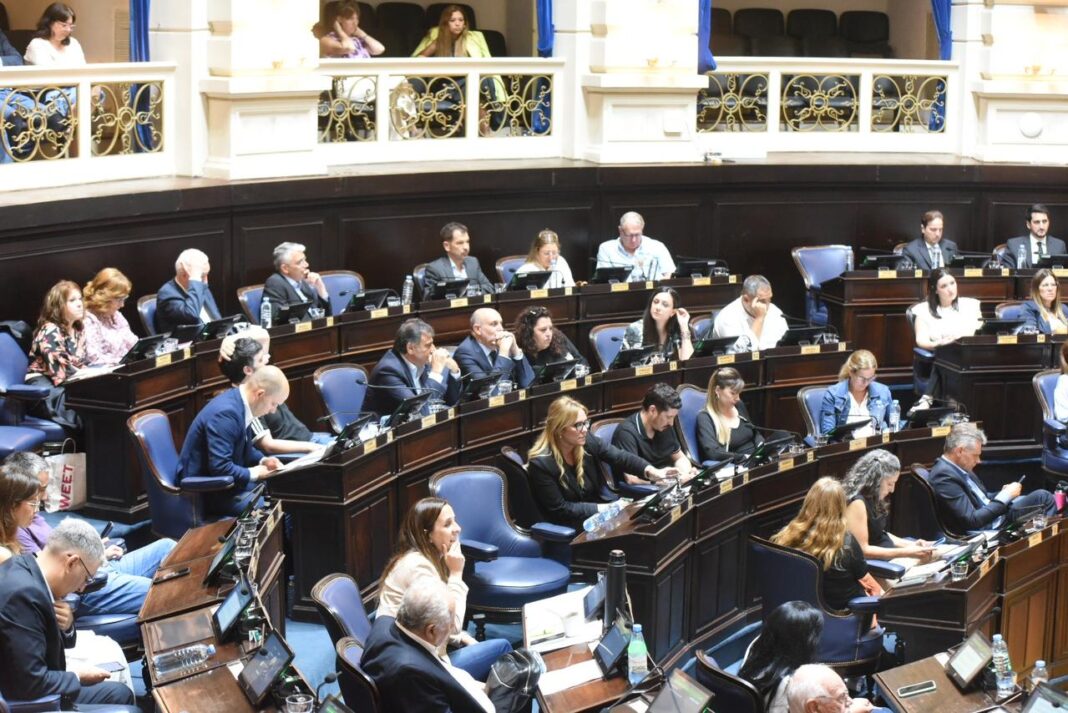Diputados le dio media sanción a la ley que establece un cupo laboral en la administración pública para jóvenes egresados de hogares de abrigo.