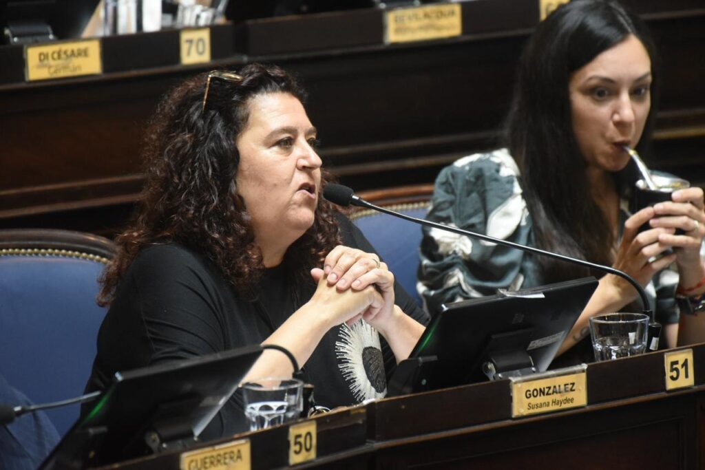 Susana González defendió el proyecto de ley de cupo laboral para jóvenes de hogares de abrigo.