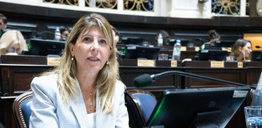 La diputada bonaerense, Silvina Vaccarezza, volvió a insistir para que la Legislatura trate la Ley de fitosanitarios, que unifica los criterios de aplicación en toda la provincia de Buenos Aires.