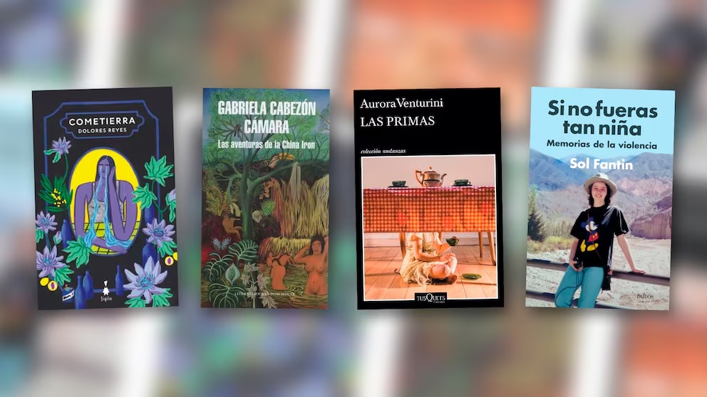 Algunos de los libros de ESI distribuidos por la Dirección que comanda Sileoni a escuelas secundarias de toda la provincia. 