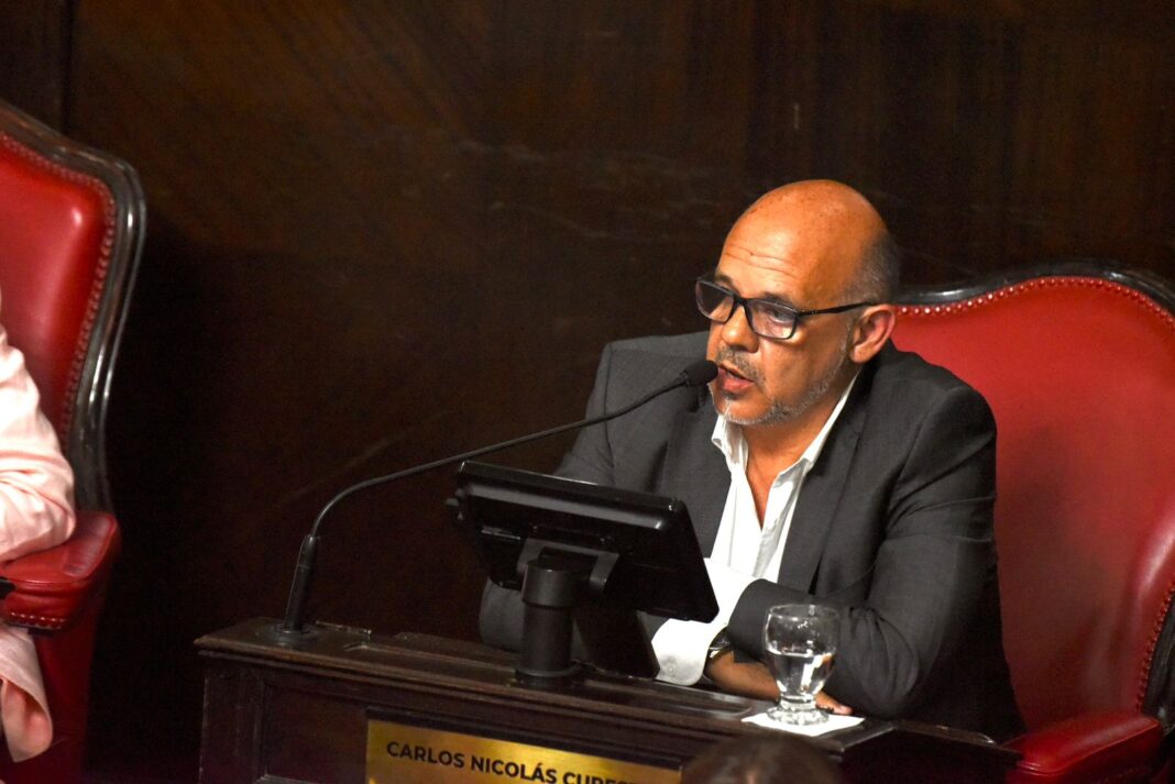 El senador bonaerense de La Libertad Avanza, Carlos Curestis, cruzó al gobernador Axel Kicillof por el triple femicidio de Florencio Varela. “La provincia es un baño de sangre”, afirmó.