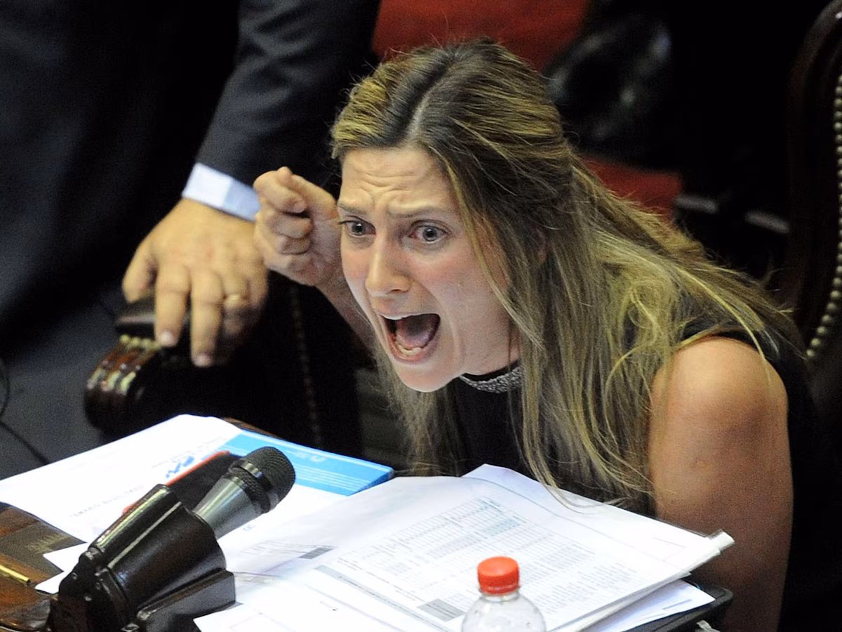 Lospennato afirmó sentirse afectada emocional y fisicamente luego del fracaso de la sesión donde se trataría Ficha Limpia.